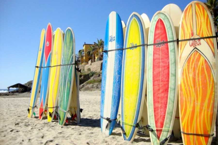 Alquiler de Tablas de Surf La Lora