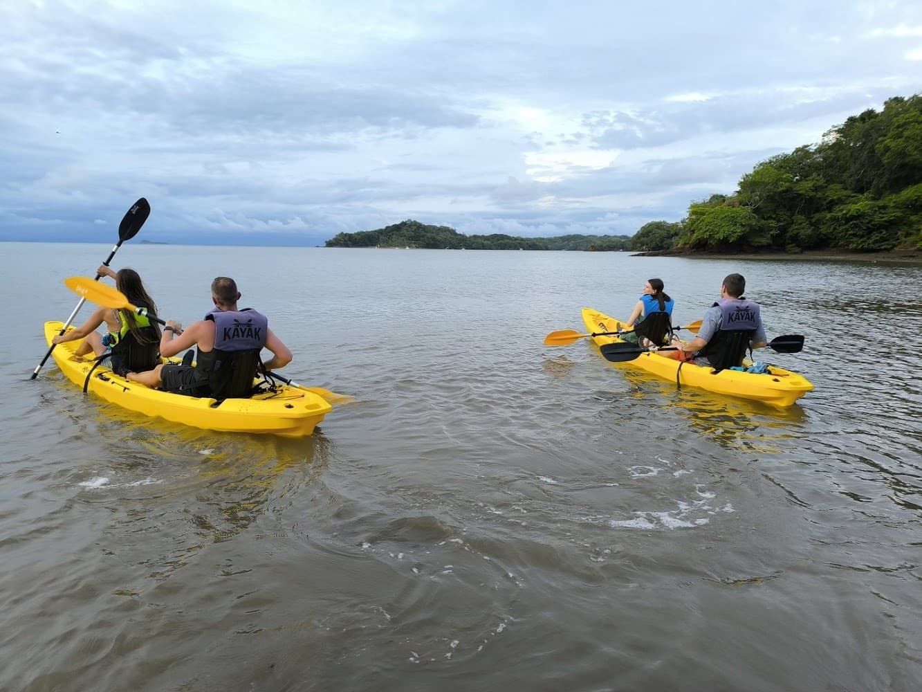 Bioluminescence Tour from Santa Teresa photo 2