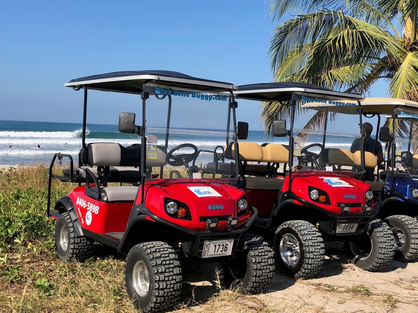 Buggy Blue - Quad and Golf Cart Rentals