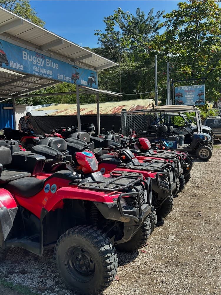 Buggy Blue - Quad and Golf Cart Rentals photo 2