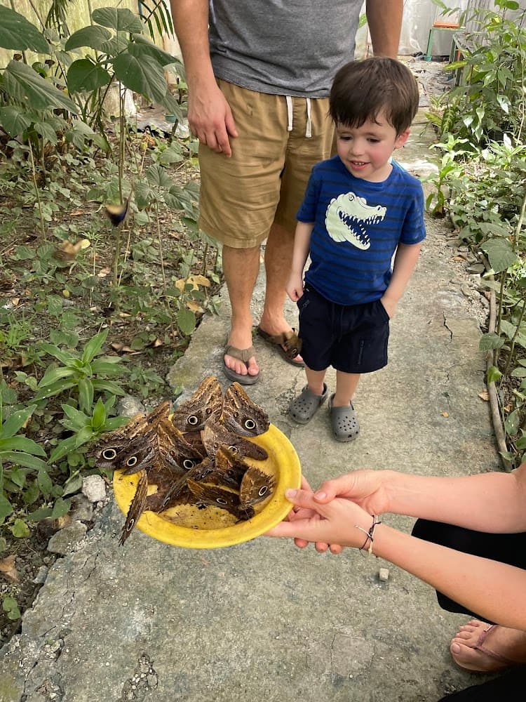 Cabo Blanco Butterfly Farm