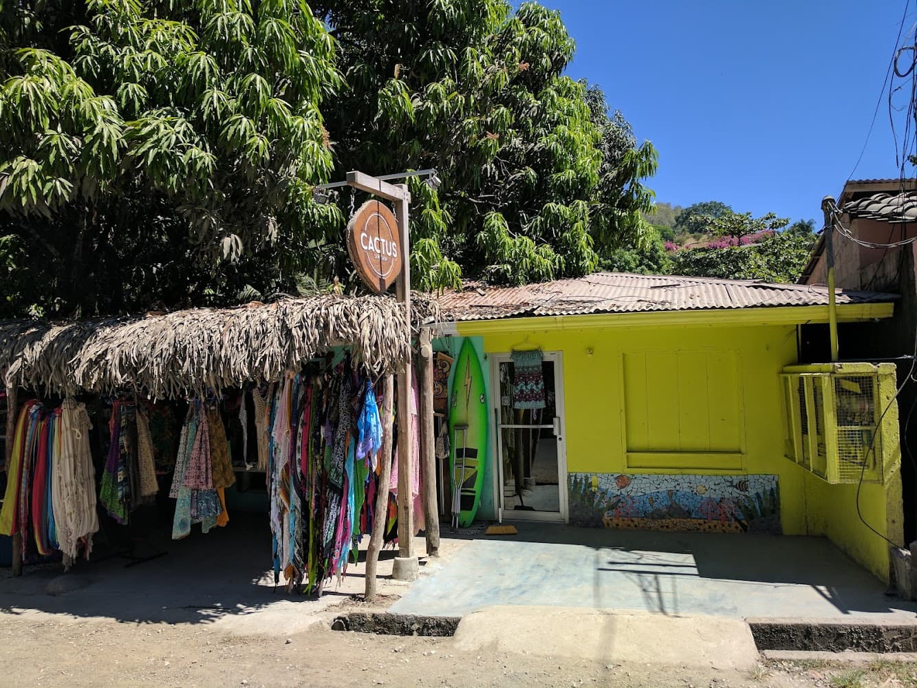 Cactus Surf Shop