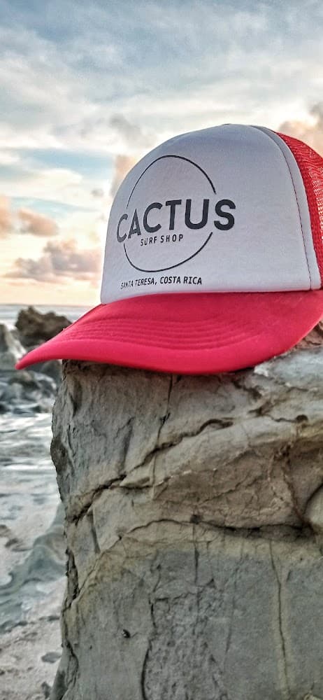 Cactus Surf Shop photo 2