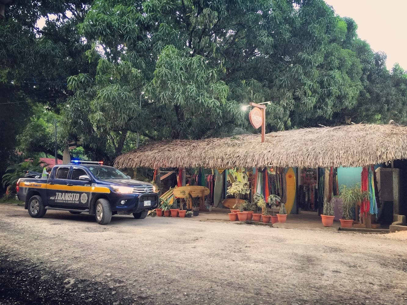 Cactus Surf Shop photo 3