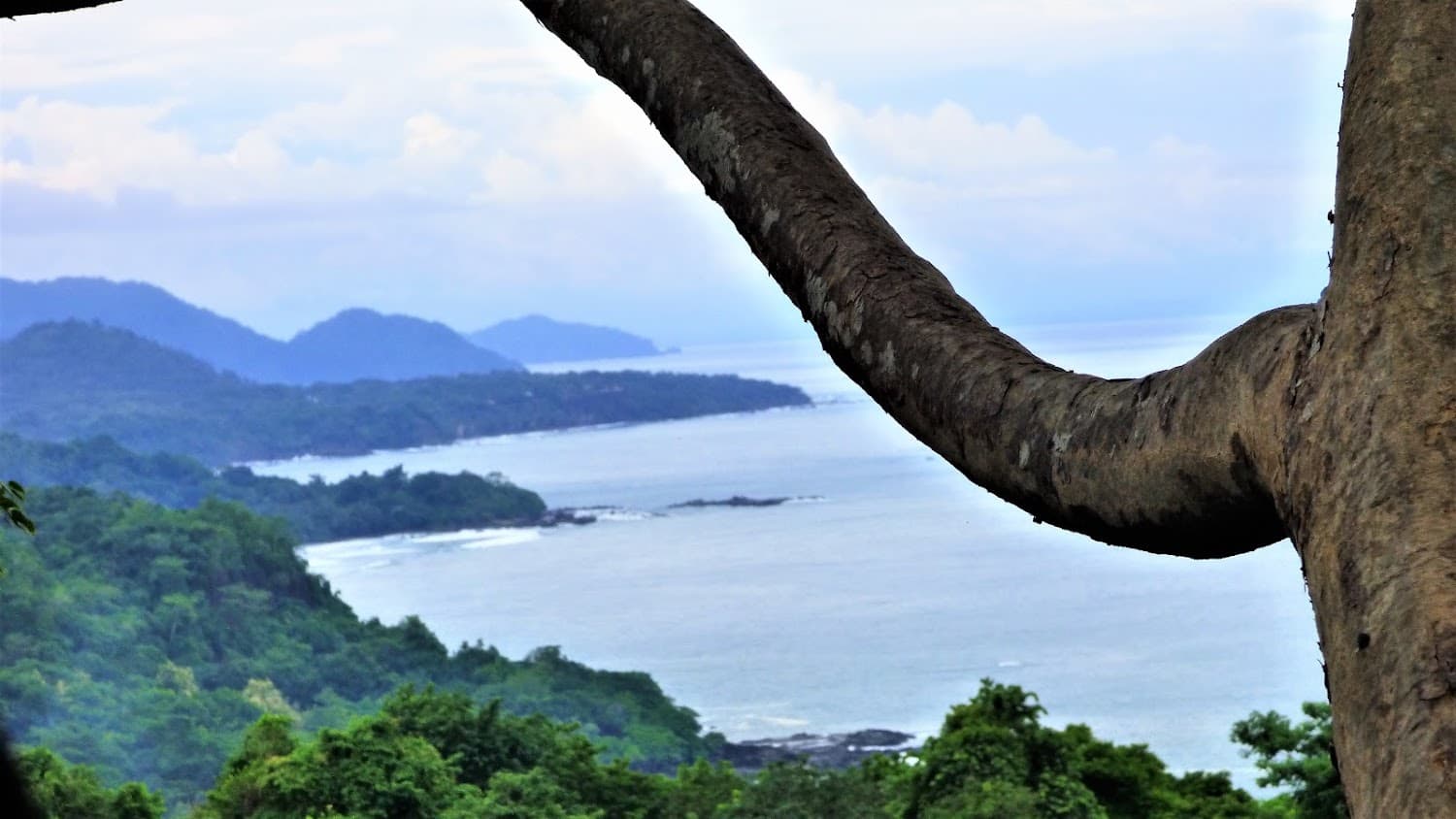Costa Rica Surf & Adventure photo 2