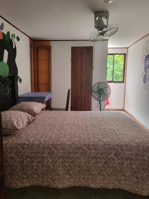 Downtown Montezuma Hostel photo 2