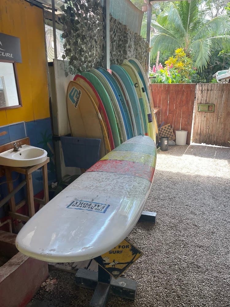 El Mango Surf