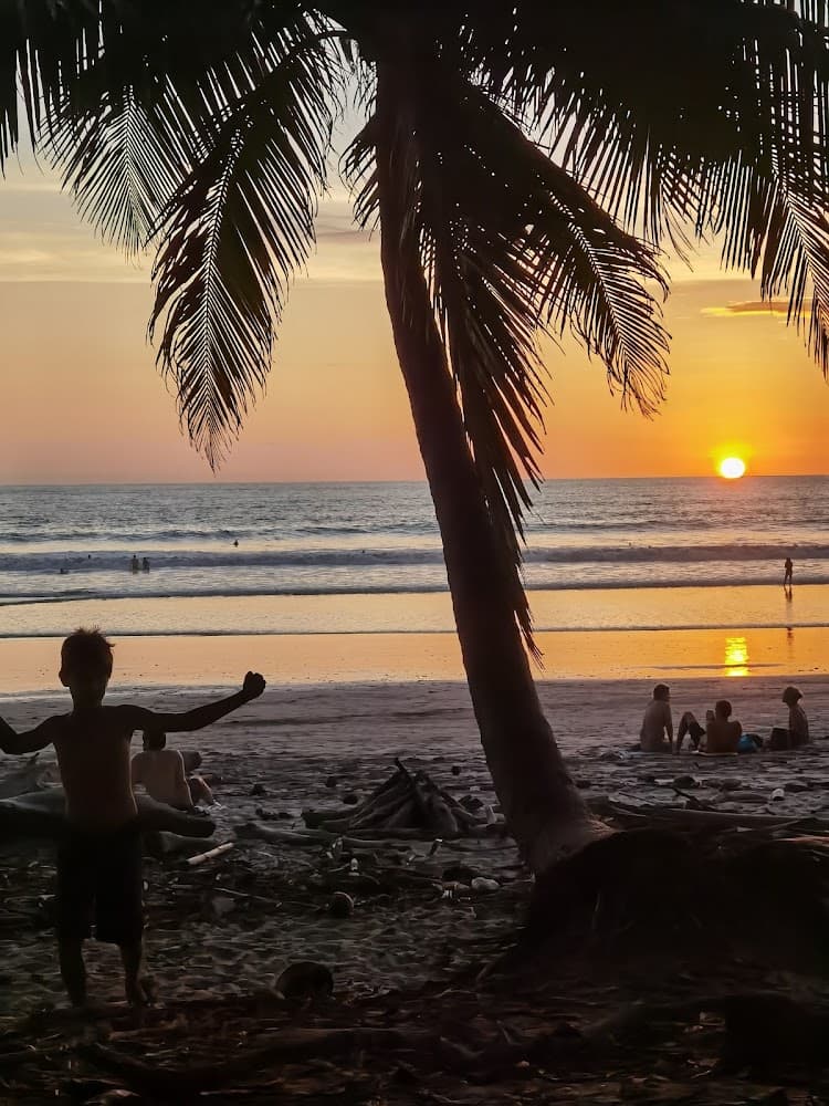 El Mango Surf photo 2