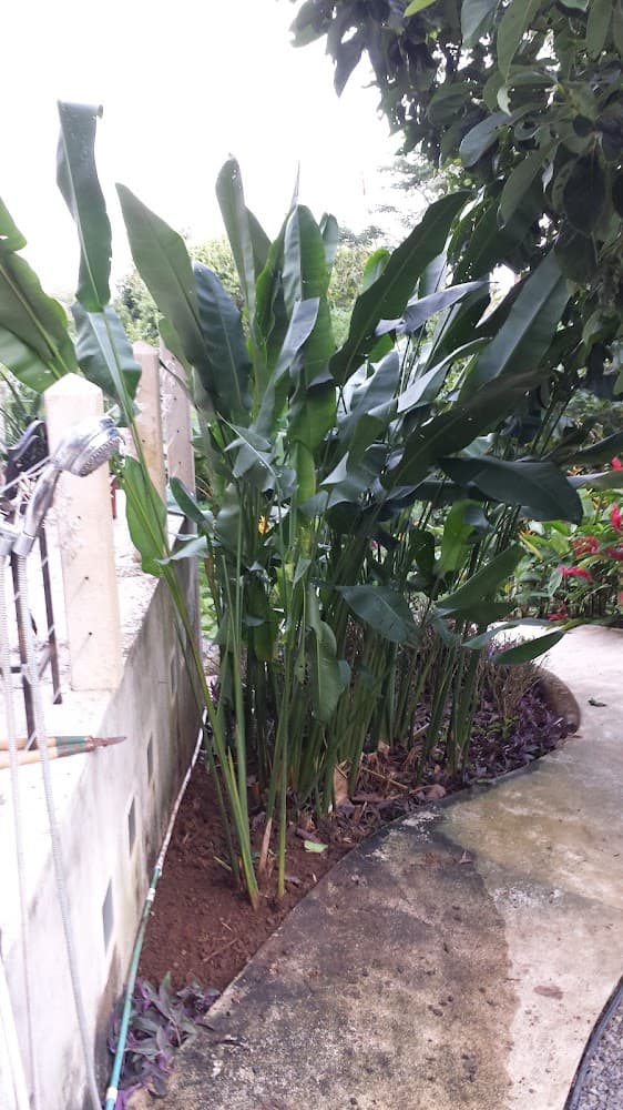 Finca Loca