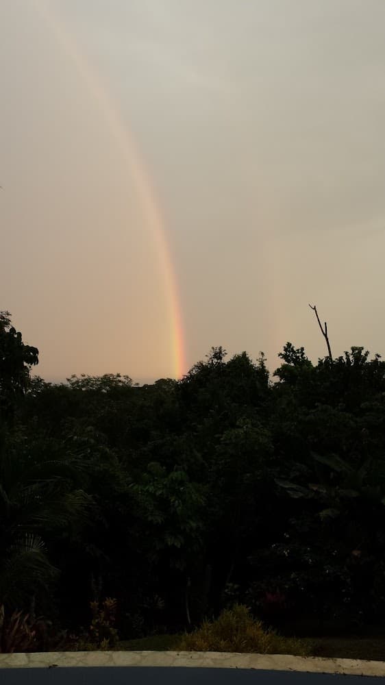 Finca Loca photo 2