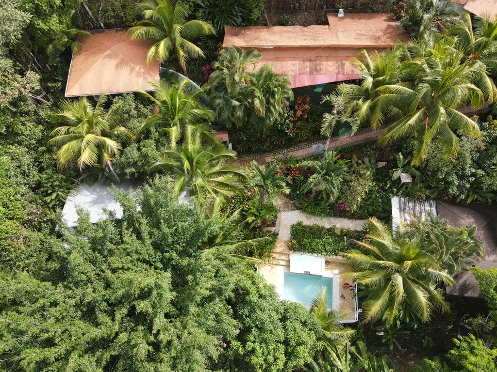 Flor de Paraiso Bungalows photo 3