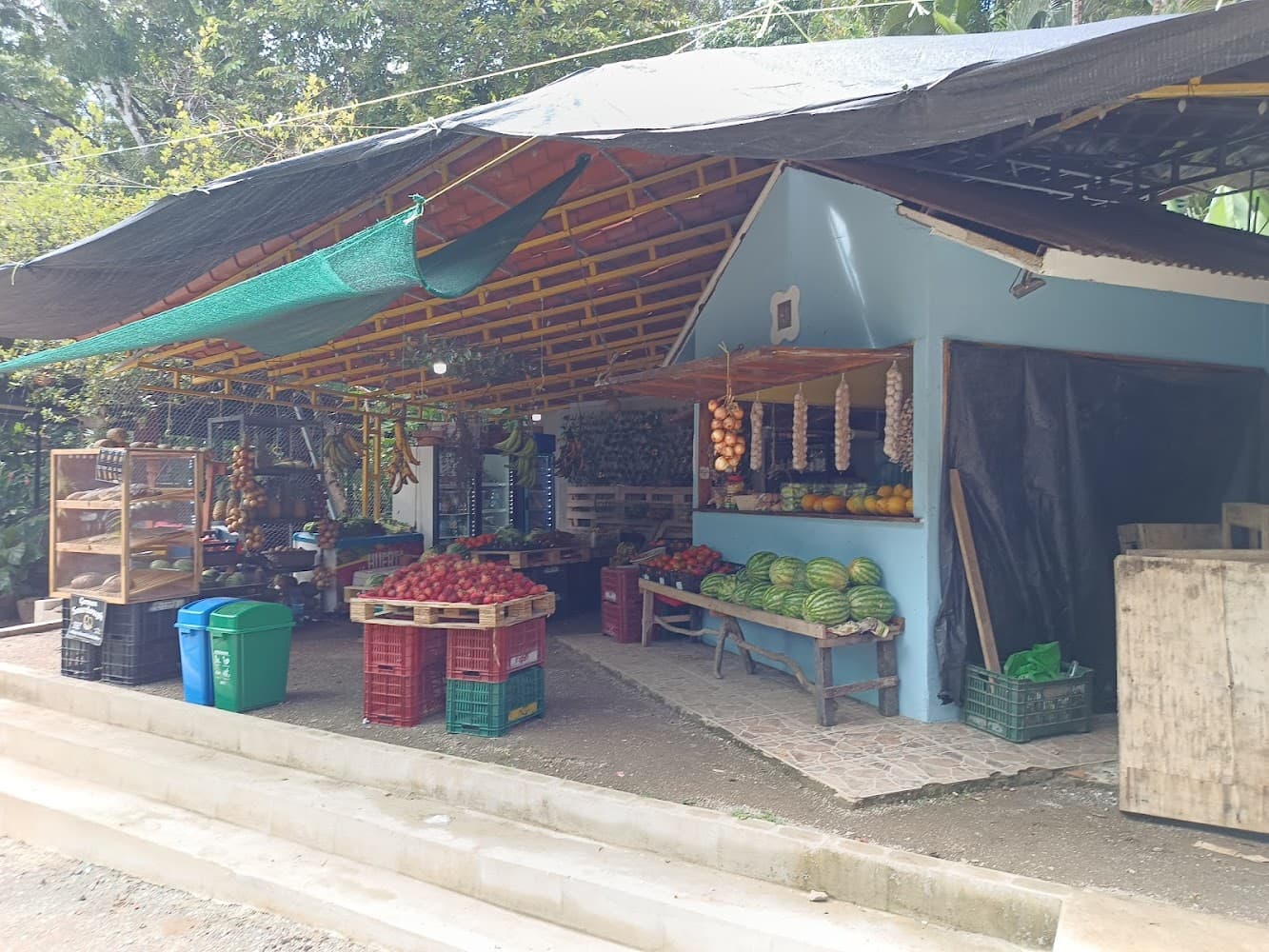 Frutos de mi tierra
