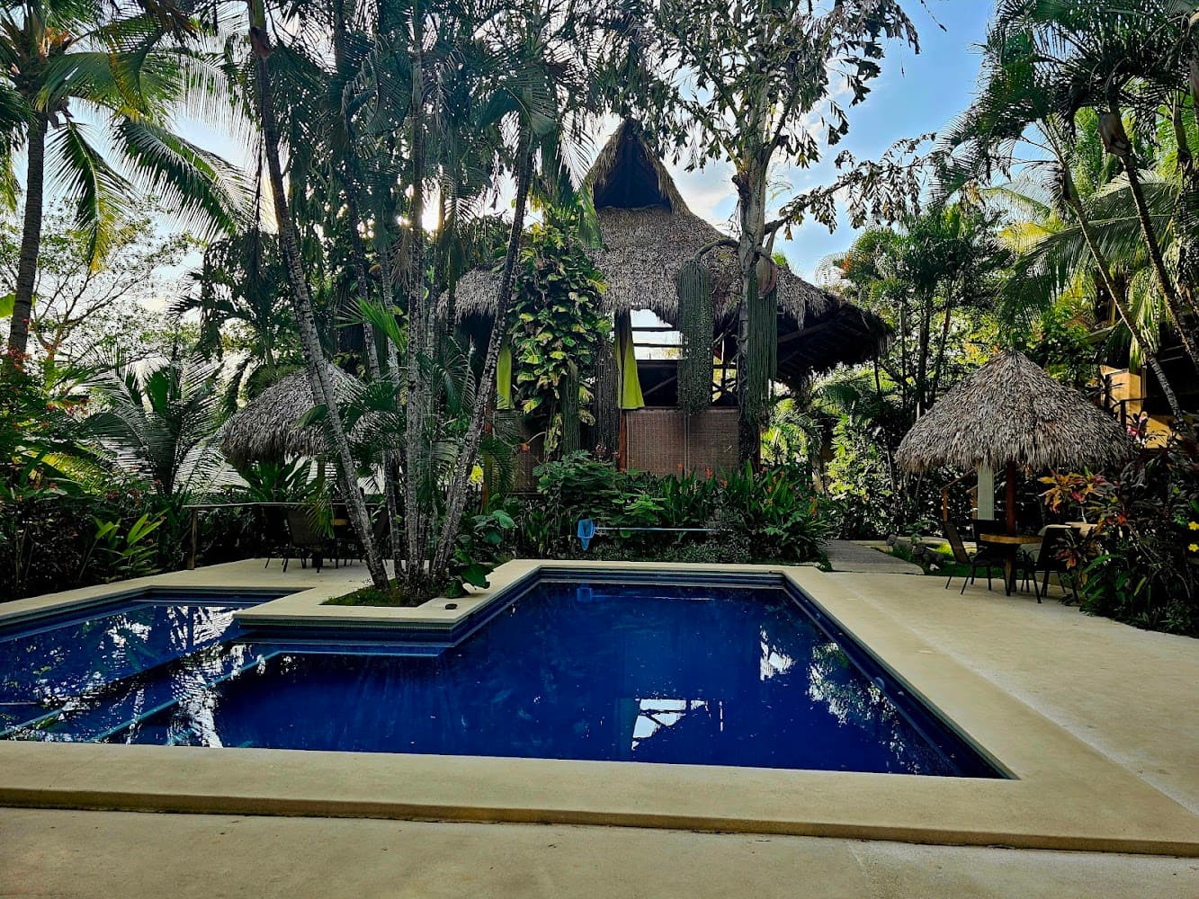Fuego Lodge Hotel & Yoga Resort, Santa Teresa, CR photo 3
