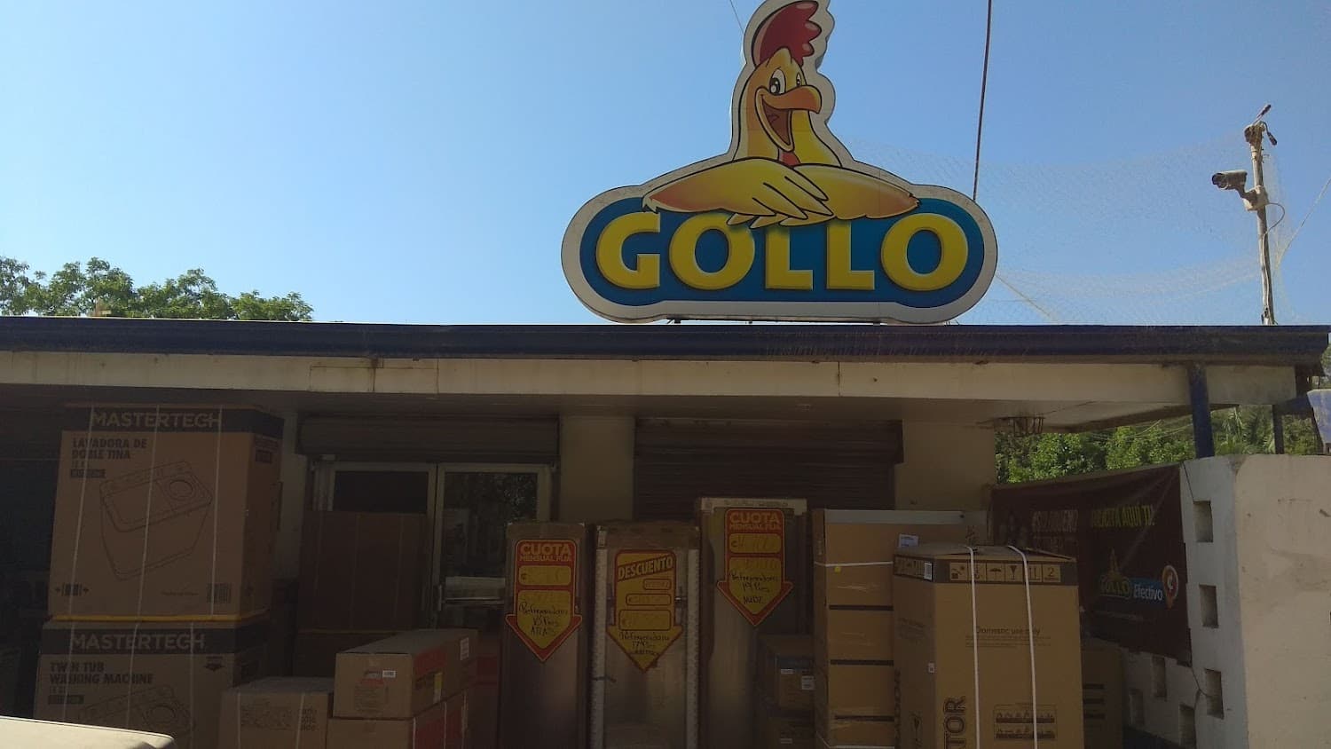 Gollo Santa Teresa