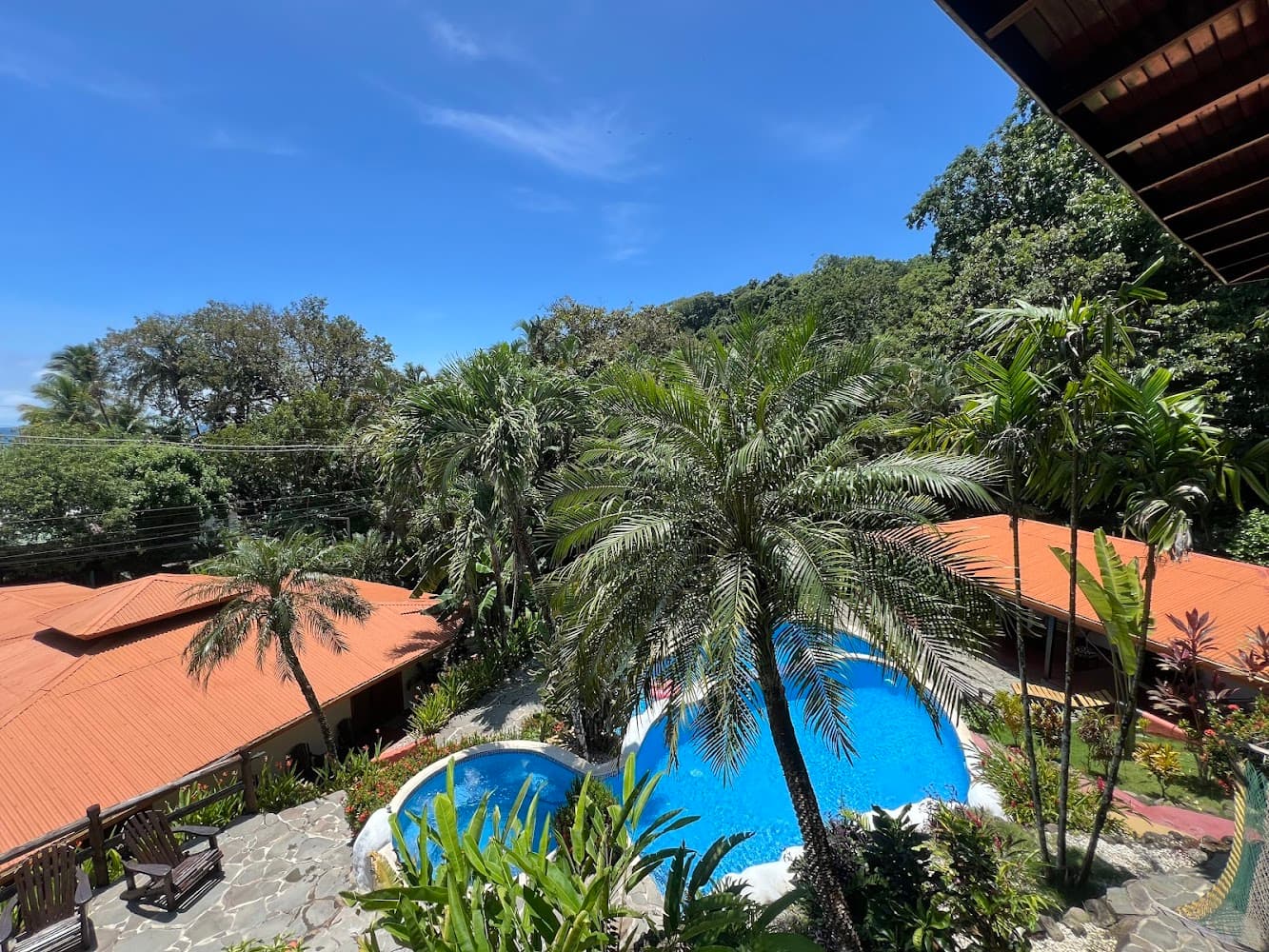 Hotel el Jardín photo 3