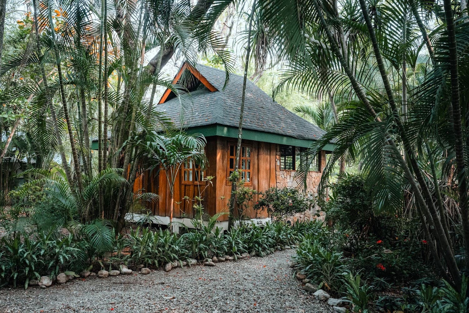 Hotel Tropico Latino