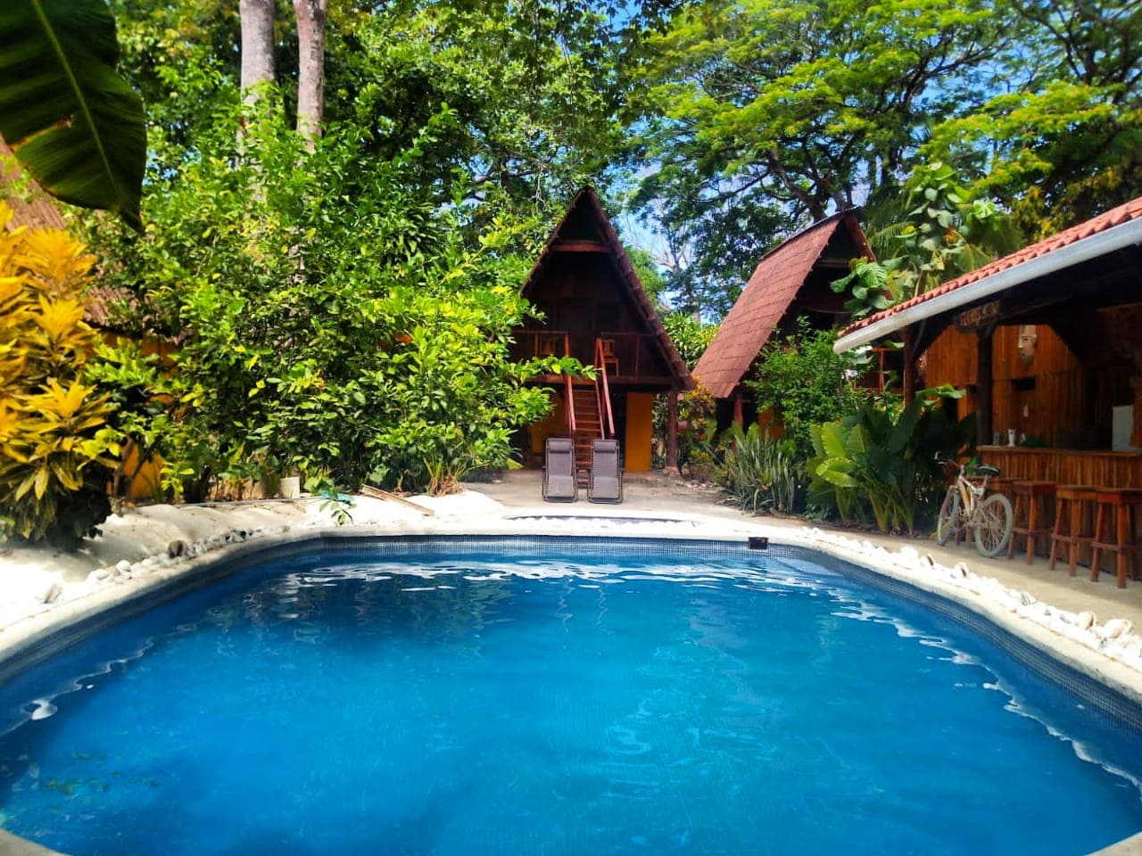 Howler Monkey Hotel photo 3