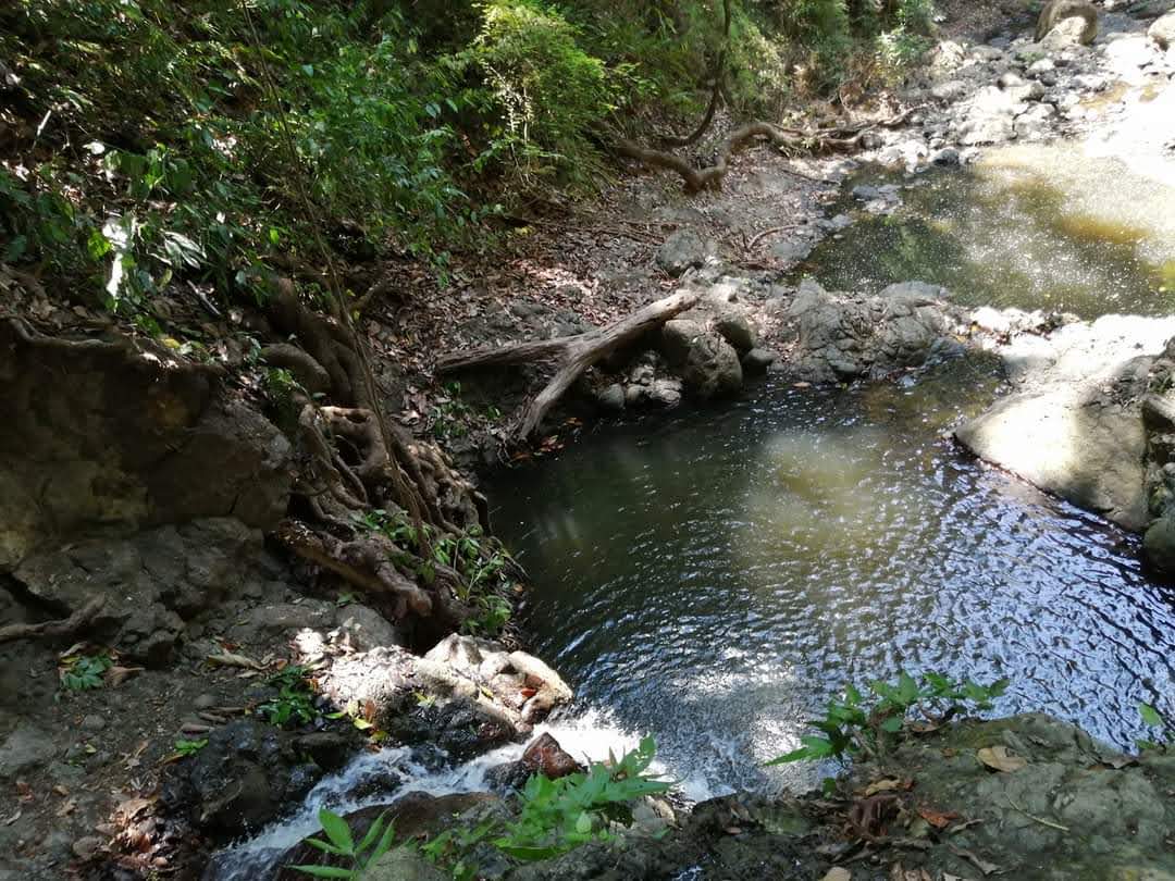 Jaguar cascada waterfall