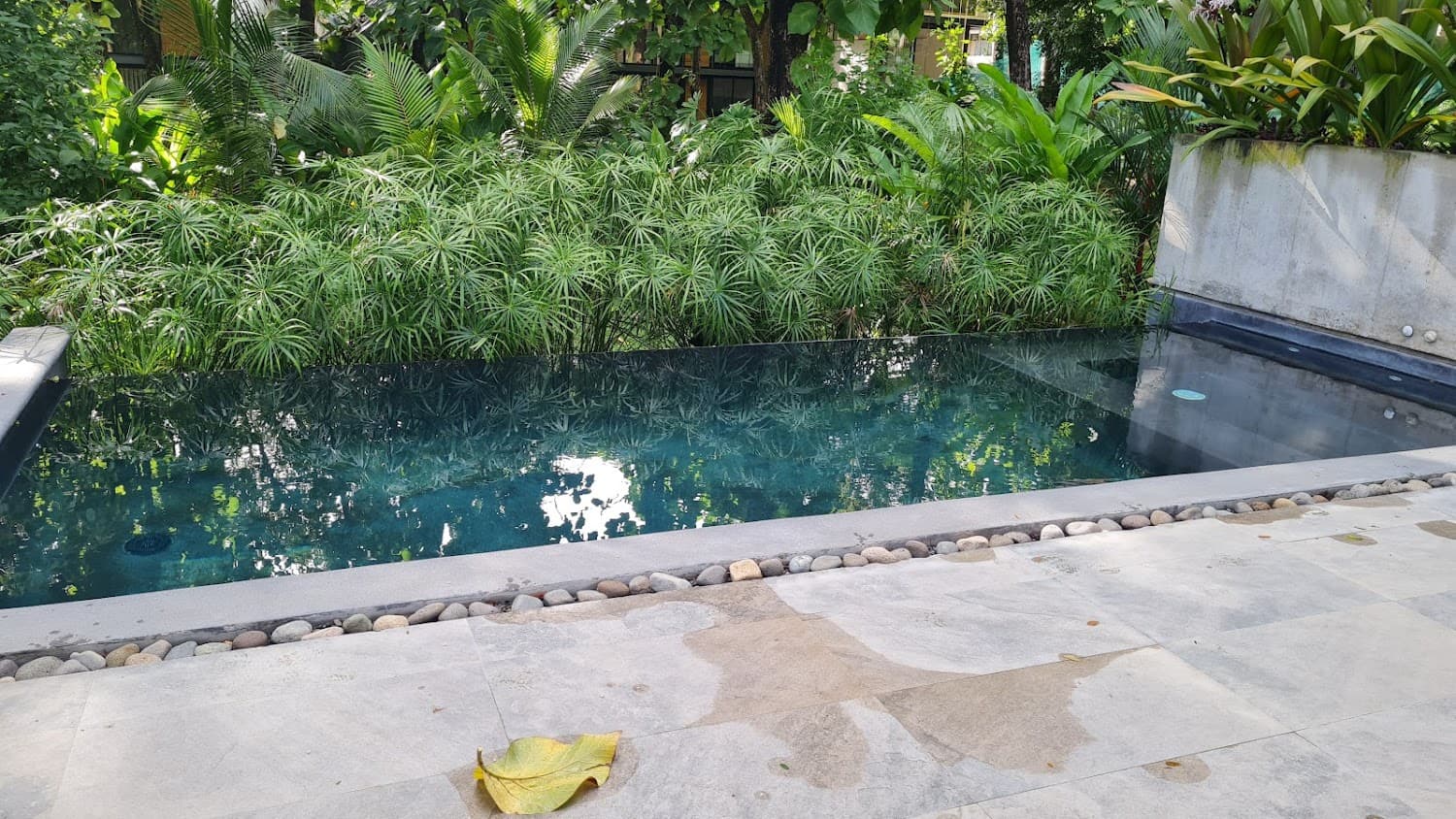 Little Escape photo 3