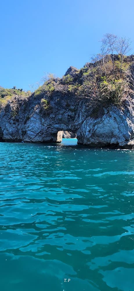 Montezuma tour to Tortuga Island