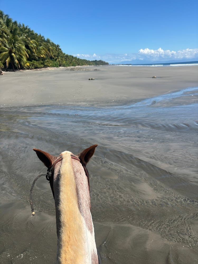 Montezuma Tours