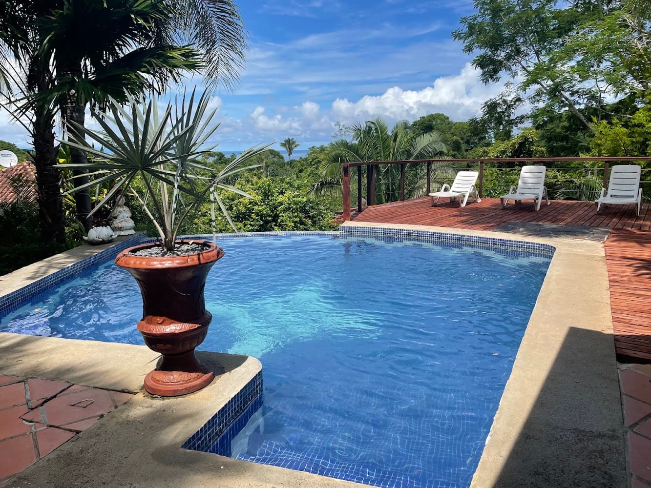 Nature Lodge Finca Los Caballos photo 3