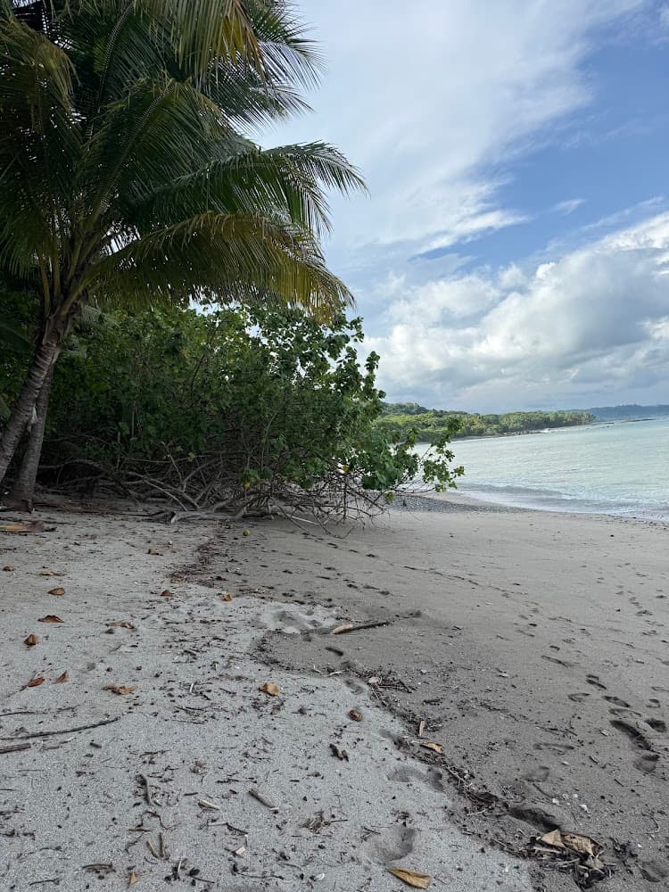 Playa gurimim photo 2
