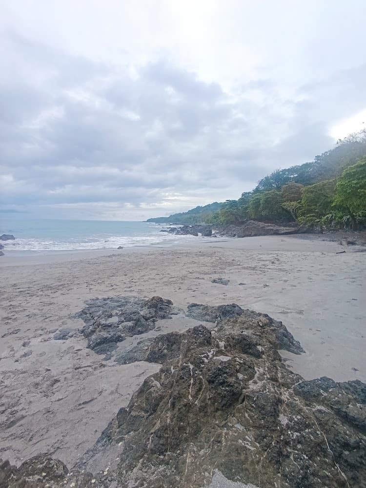 Playa Palmeras