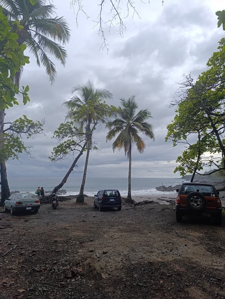 Playa Palmeras photo 2