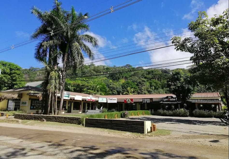 Plaza Kahuna photo 3