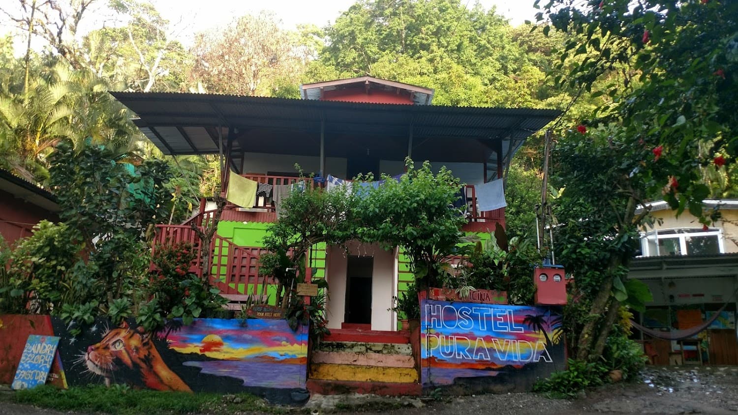 Pura Vida Hostel photo 2