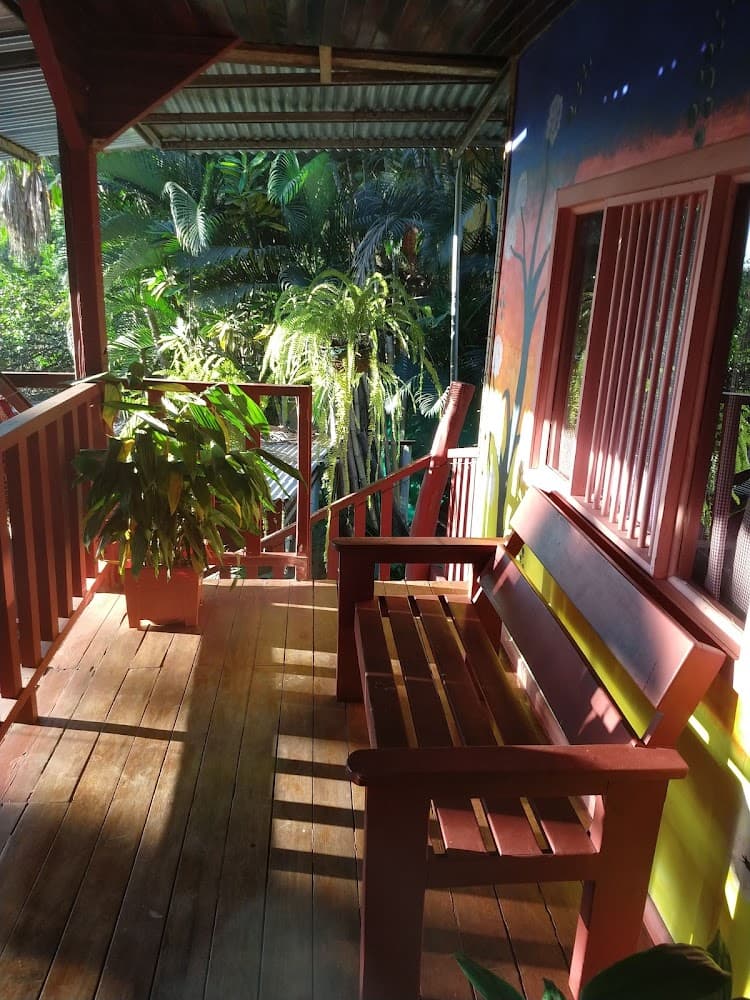 Pura Vida Hostel photo 3
