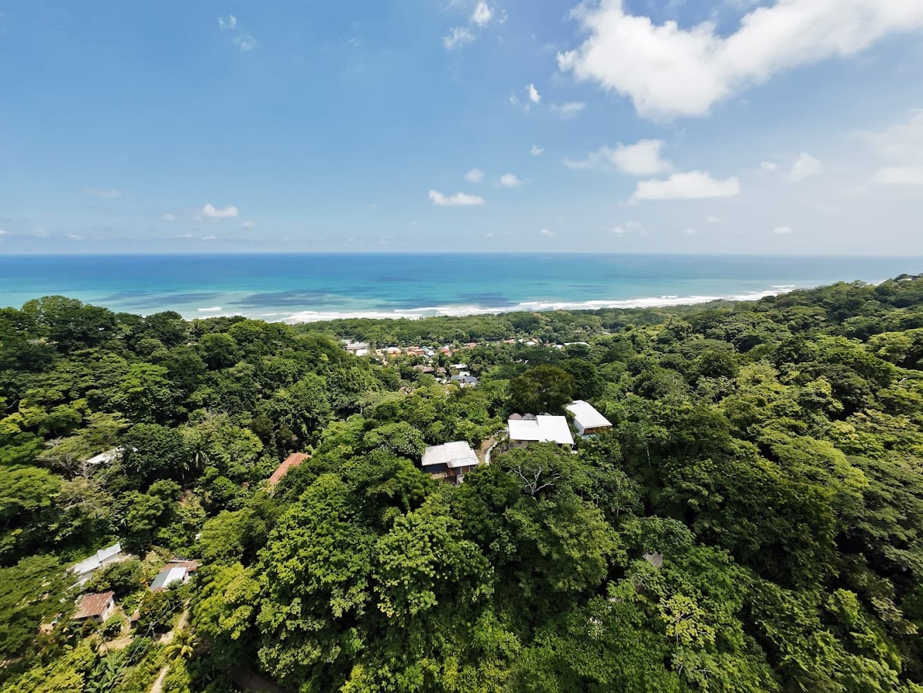 Selva Property Management & Concierge photo 2