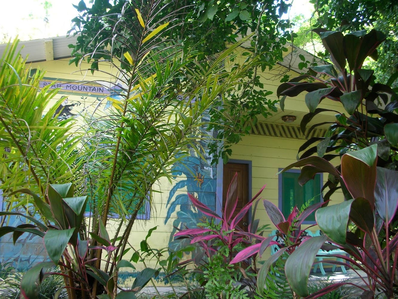 Star Mountain Jungle Lodge