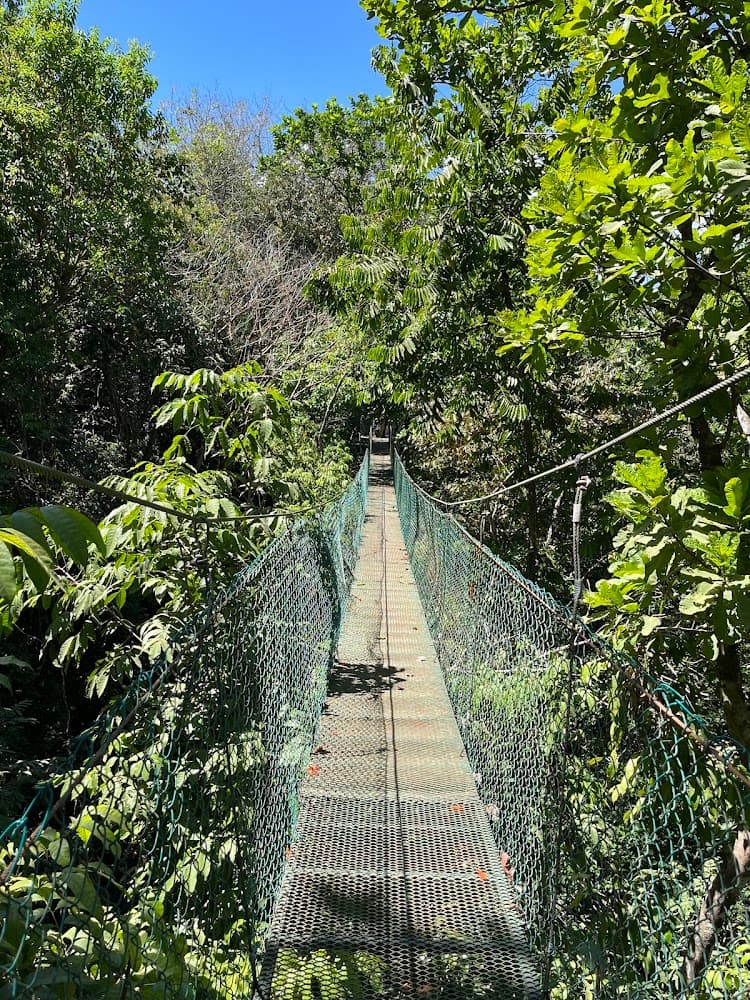 Sun Trails Tours