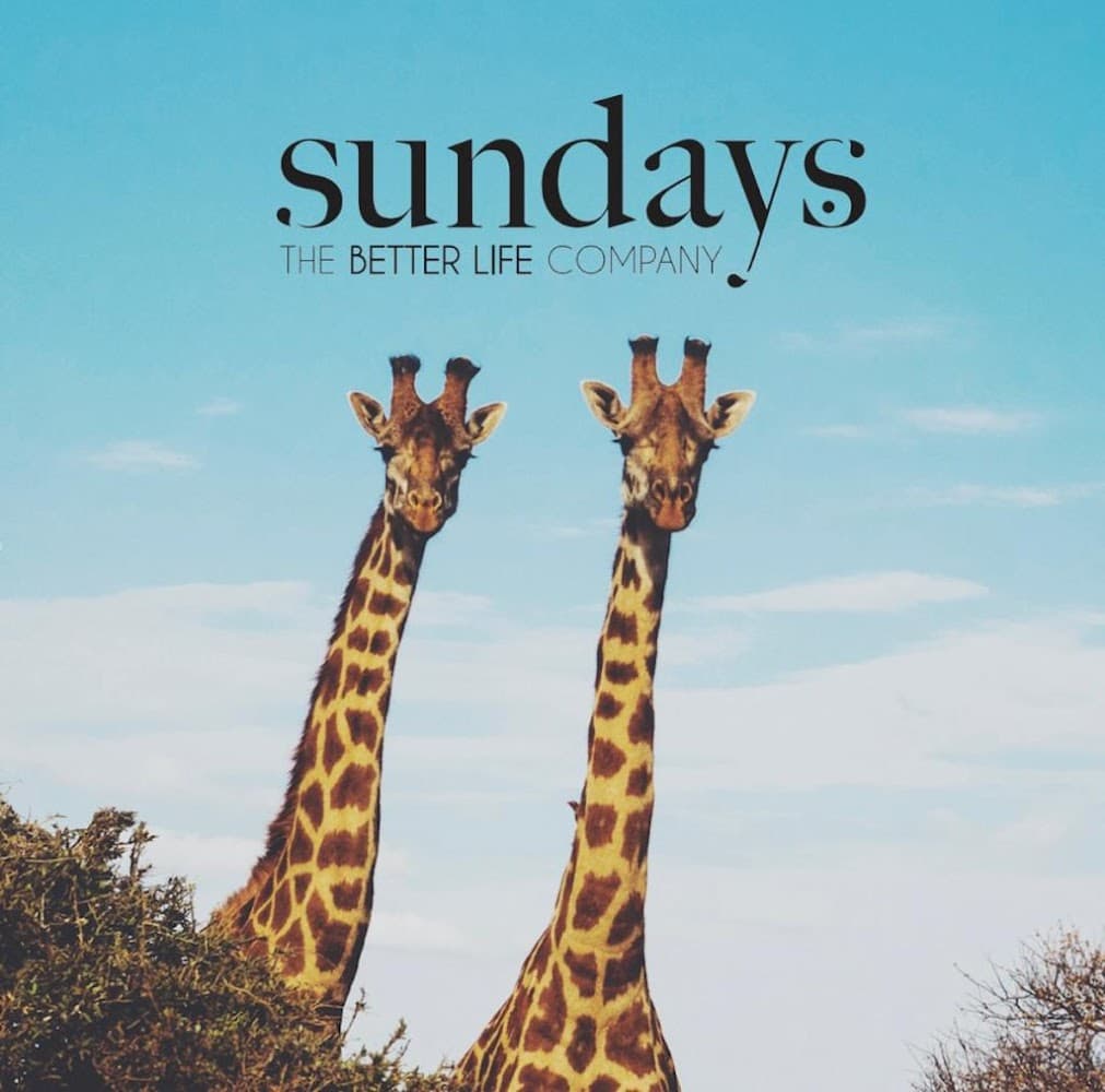 Sundays Property Management, Coworking & Vacation Rental
