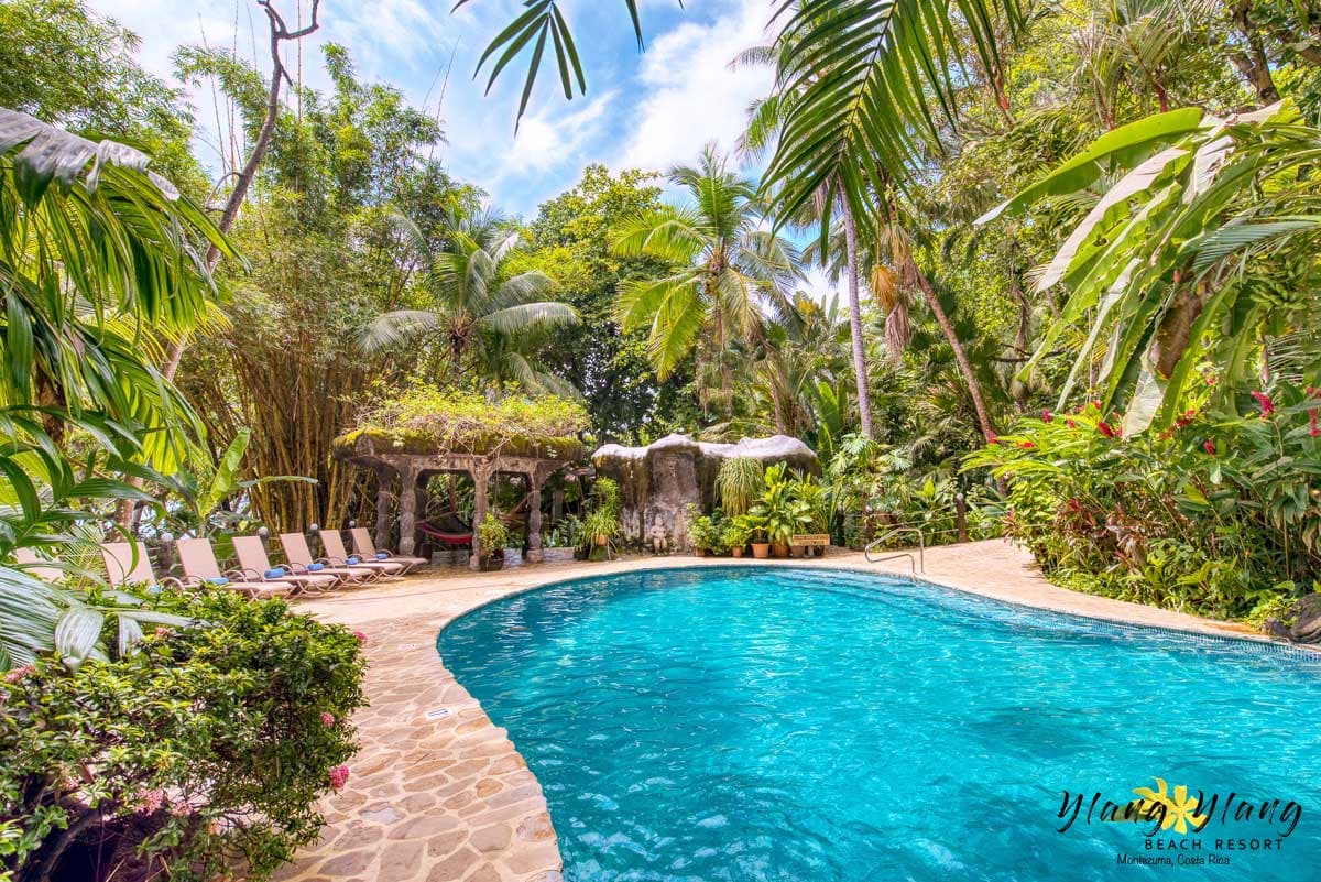 Ylang Ylang Beach Resort photo 3